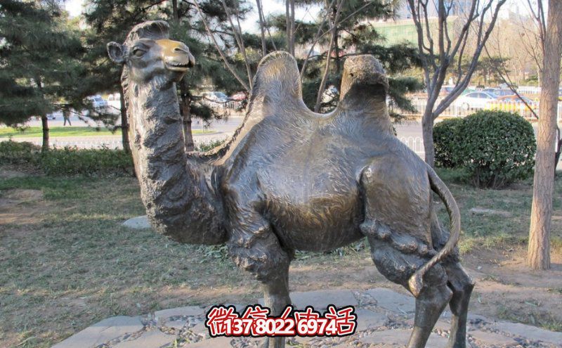 創(chuàng)意大型玻璃鋼駱駝雕塑，在草地上擺放，一眼回頭