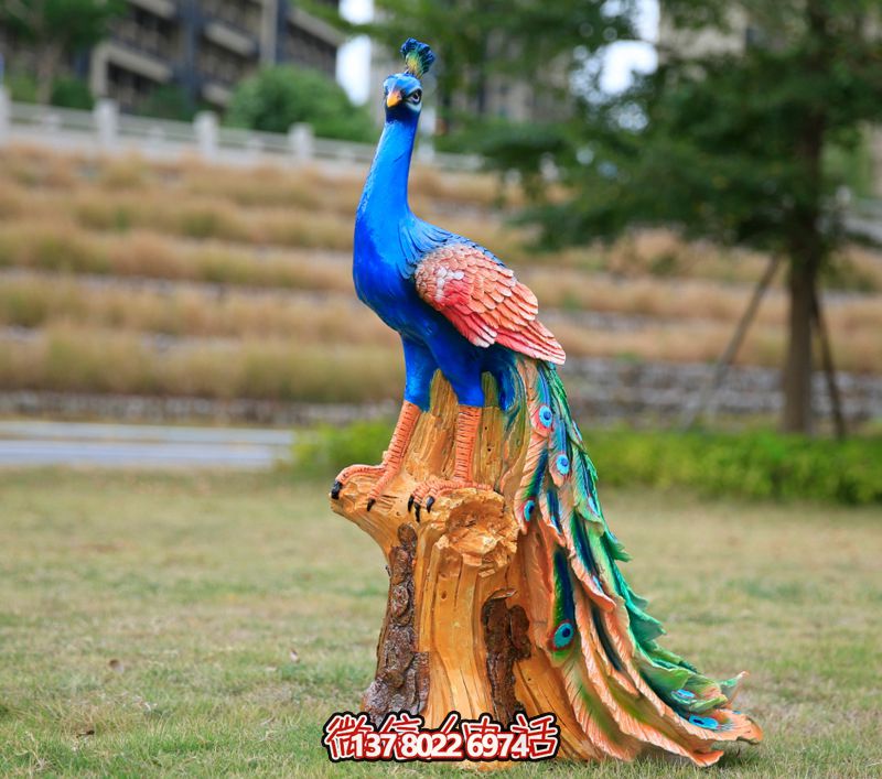 彩繪孔雀玻璃鋼雕塑，為公園街道擺放添彩